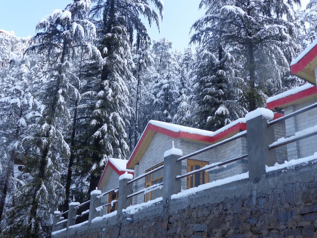 Village Live In Resort Chail Εξωτερικό φωτογραφία