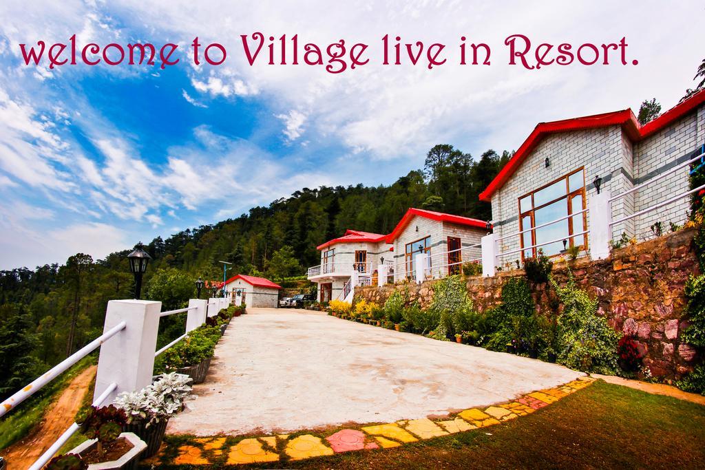 Village Live In Resort Chail Εξωτερικό φωτογραφία